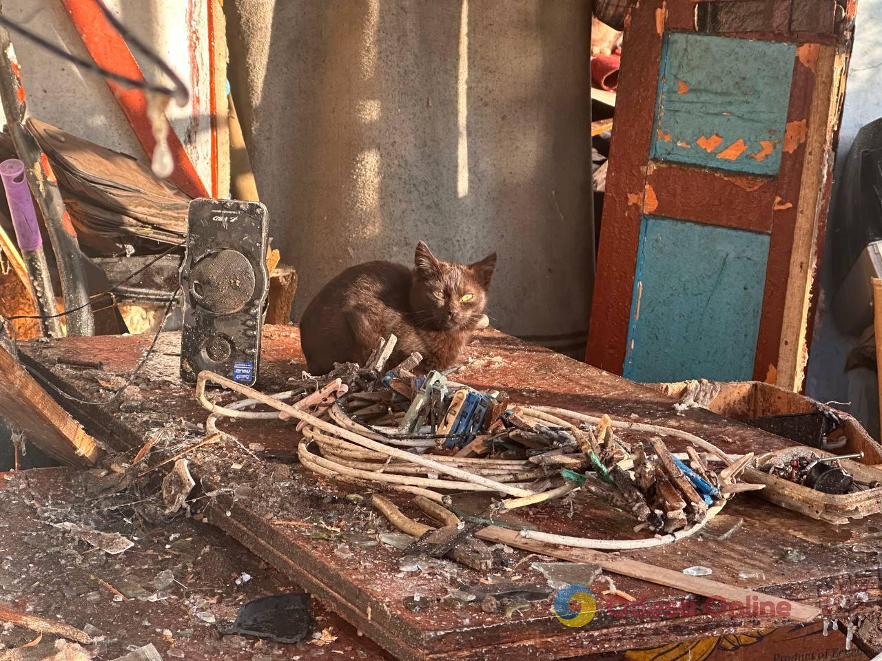 Наслідки нічної атаки РФ на Одеський район: зруйновані будинки та постраждалі тварини