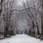 photo_2026-01-25_14-41-07 (2)