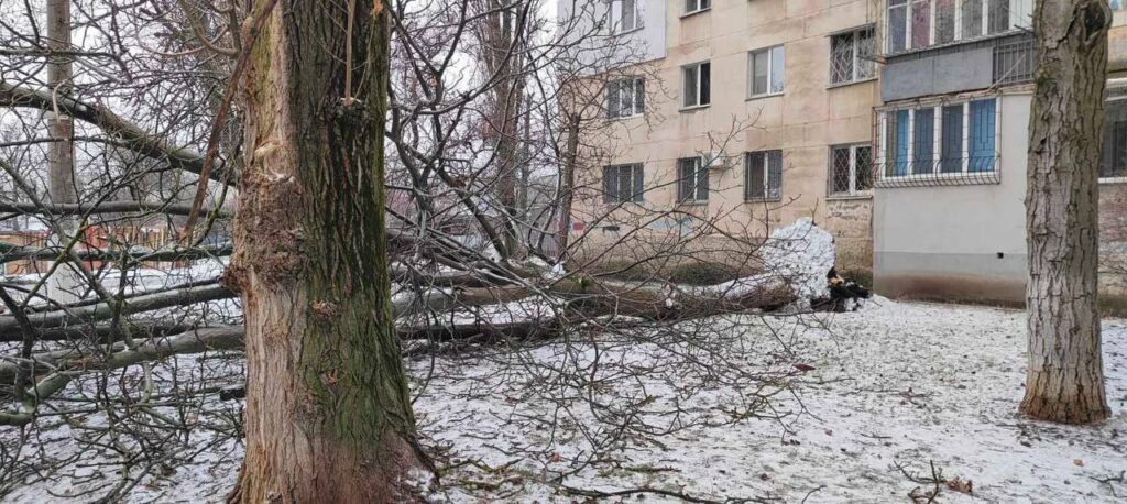 Штормовий вітер повалив в Одесі дев’ять дерев та великих гілок