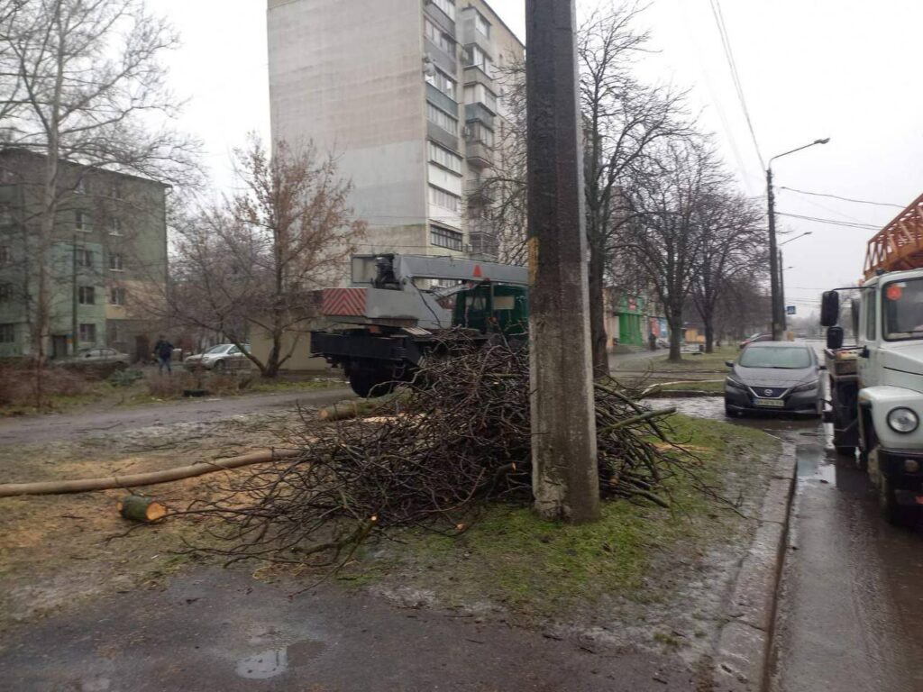 Штормовий вітер повалив в Одесі дев’ять дерев та великих гілок