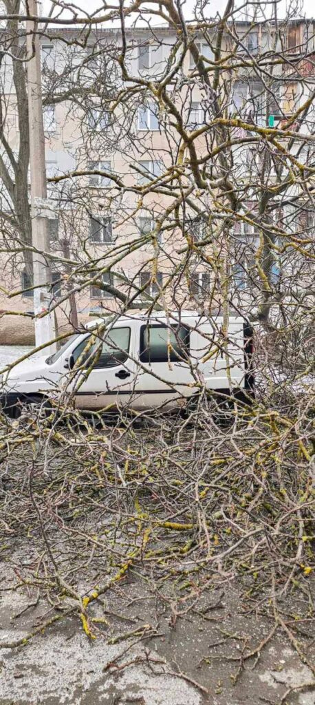 Штормовий вітер повалив в Одесі дев’ять дерев та великих гілок