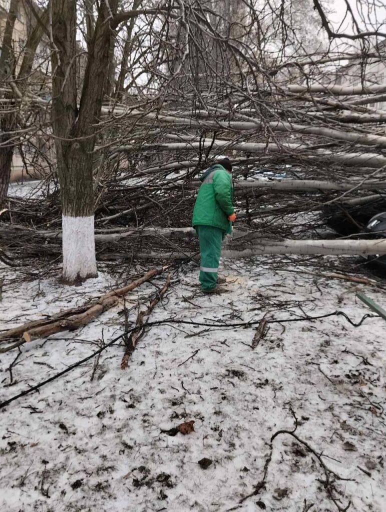 Штормовий вітер повалив в Одесі дев’ять дерев та великих гілок