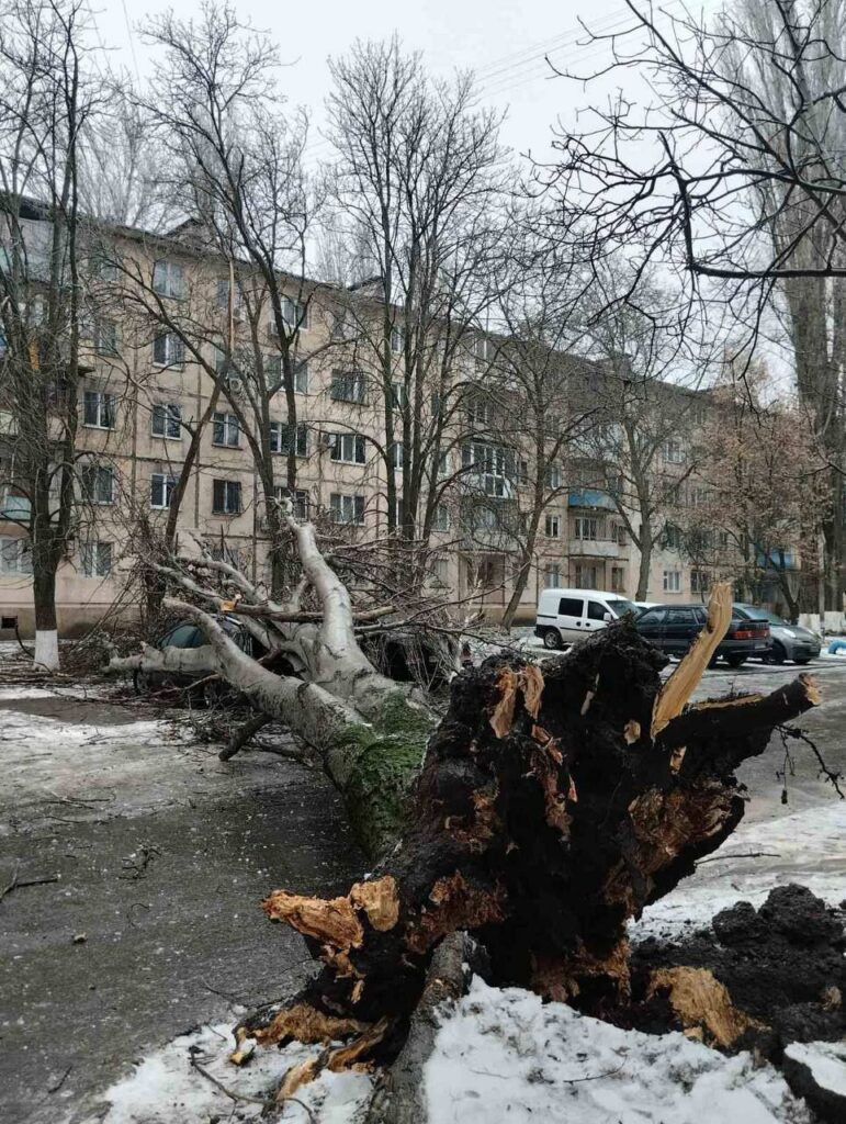 Штормовий вітер повалив в Одесі дев’ять дерев та великих гілок