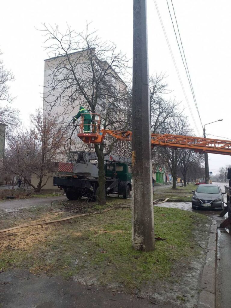 Штормовий вітер повалив в Одесі дев’ять дерев та великих гілок