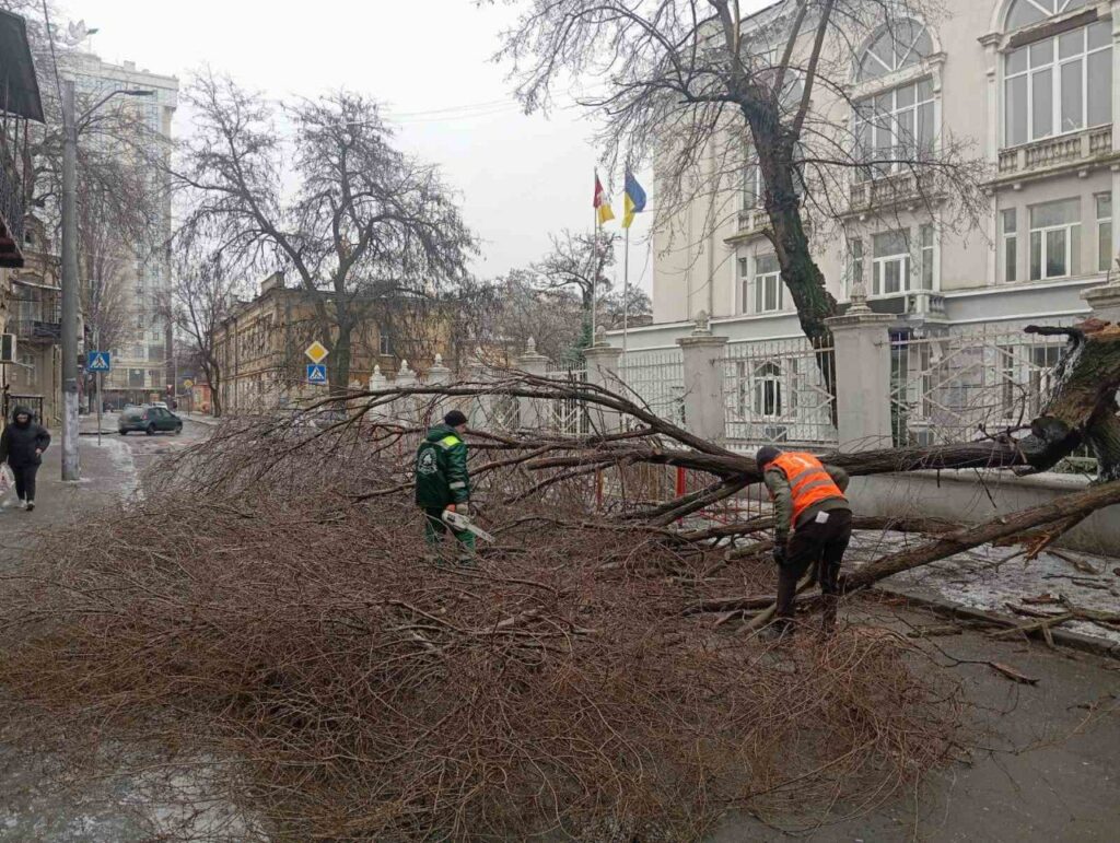 Кількість повалених дерев в Одесі зросла до 18: комунальники працюють у посиленому режимі