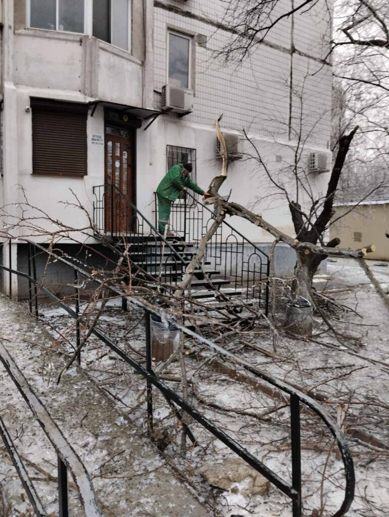 Кількість повалених дерев в Одесі зросла до 18: комунальники працюють у посиленому режимі