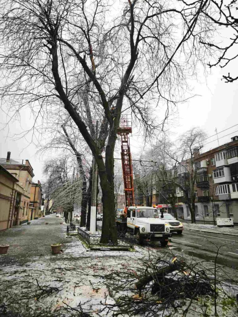 Кількість повалених дерев в Одесі зросла до 18: комунальники працюють у посиленому режимі
