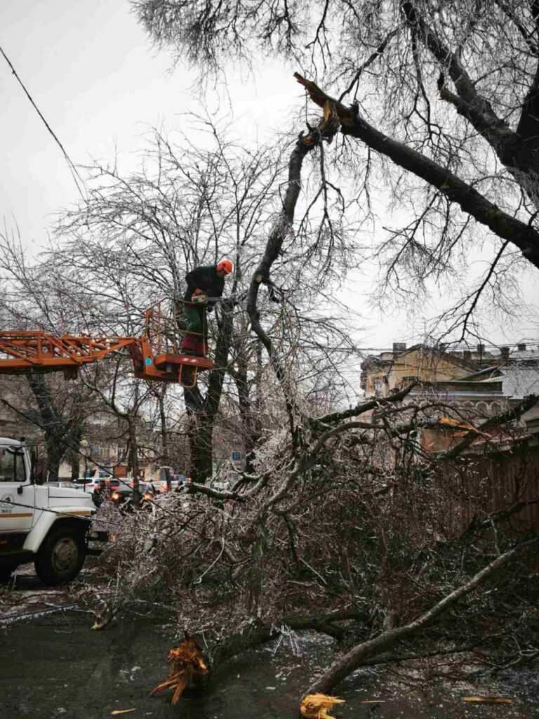 Кількість повалених дерев в Одесі зросла до 18: комунальники працюють у посиленому режимі