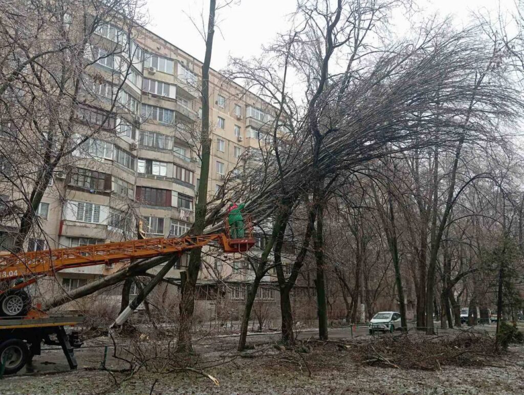 Негода в Одесі стала причиною падіння близько 40 дерев та великих гілок