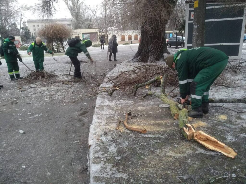 Негода в Одесі стала причиною падіння близько 40 дерев та великих гілок