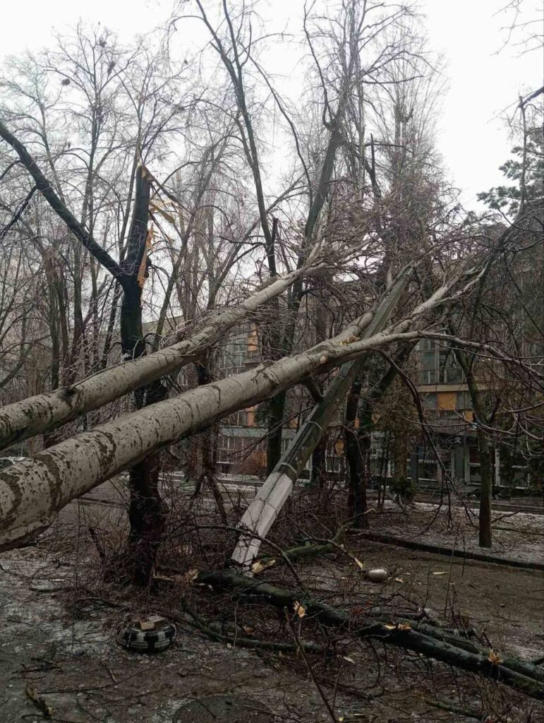 Негода в Одесі стала причиною падіння близько 40 дерев та великих гілок