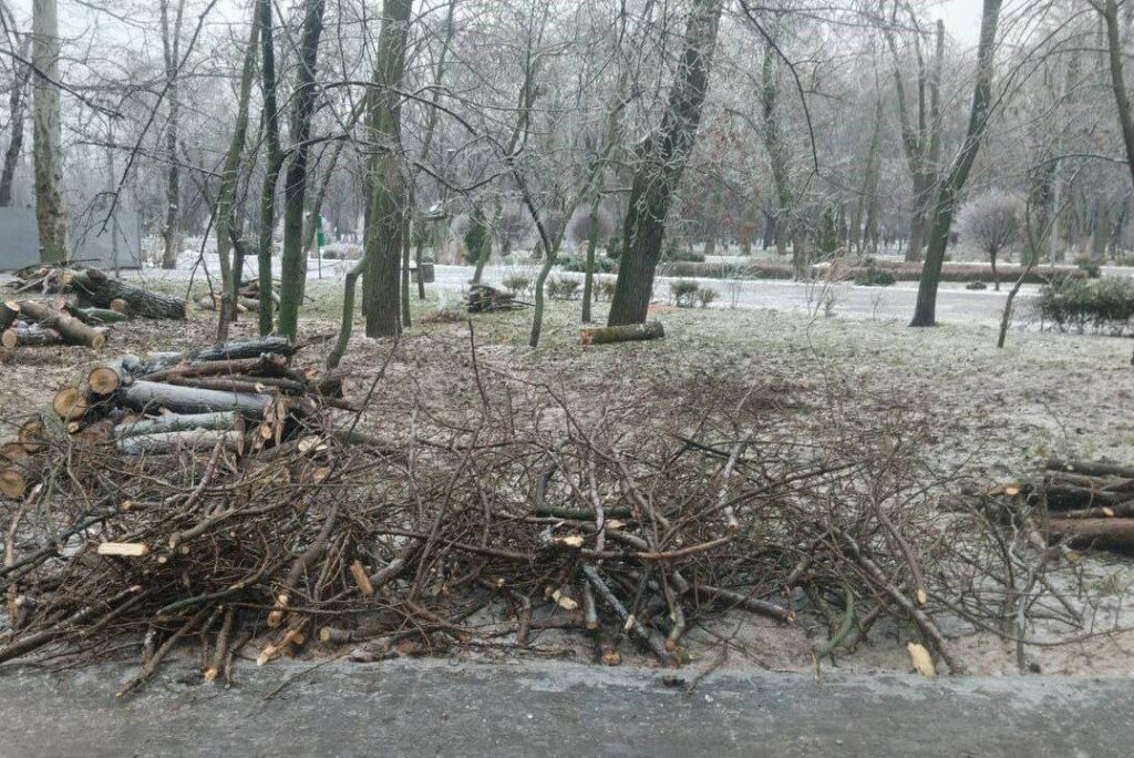Негода в Одесі стала причиною падіння близько 40 дерев та великих гілок