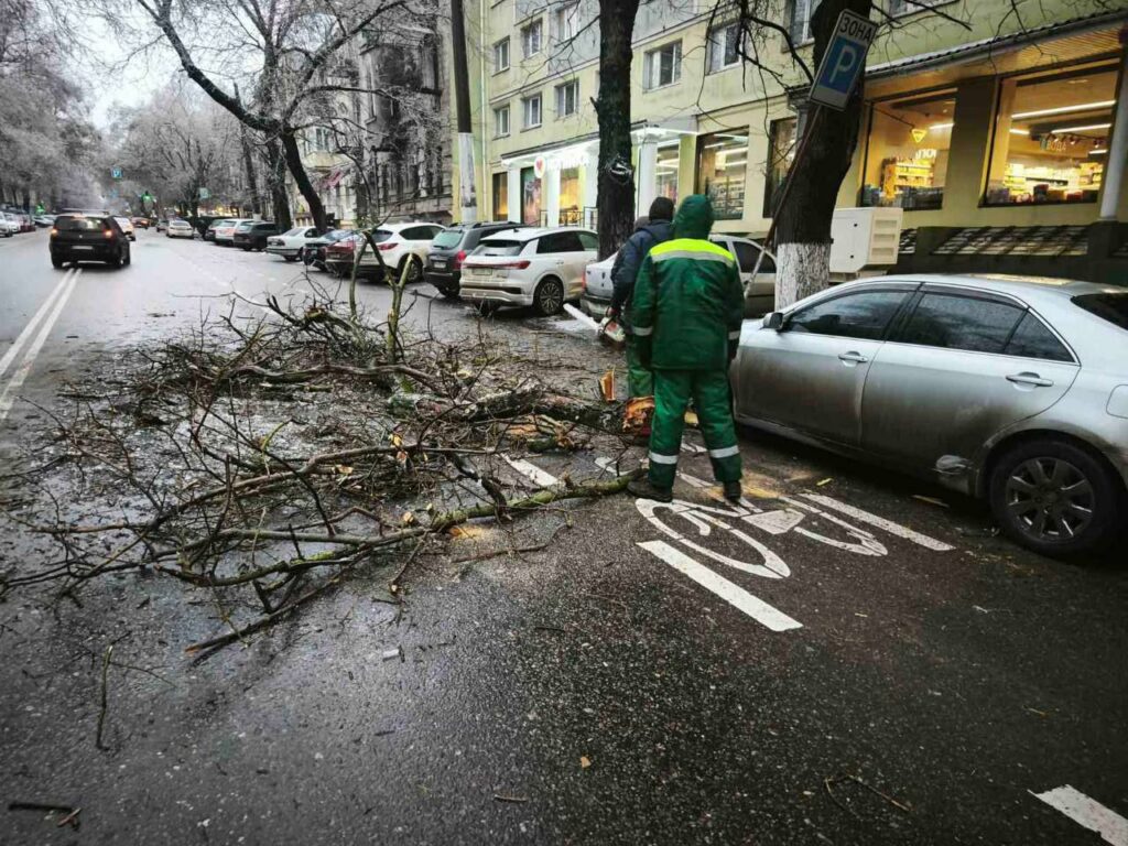 Негода в Одесі стала причиною падіння близько 40 дерев та великих гілок