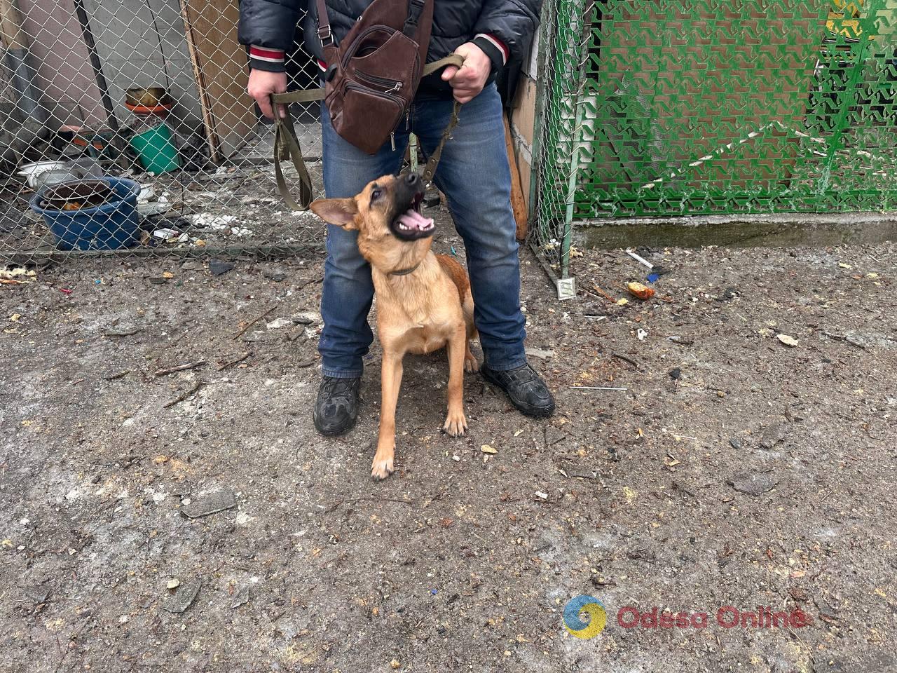 Нічна атака РФ на Одесу: свідчення очевидців та фото наслідків