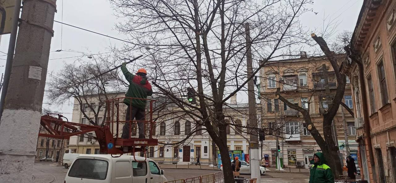 Одеські комунальники з початку року підрізали більше двох сотень дерев