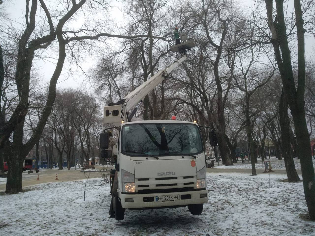 Одеські комунальники з початку року підрізали більше двох сотень дерев