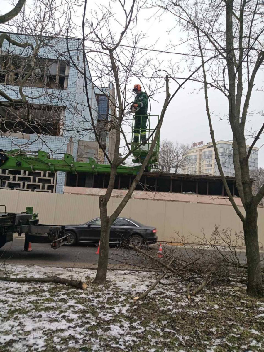 Одеські комунальники з початку року підрізали більше двох сотень дерев