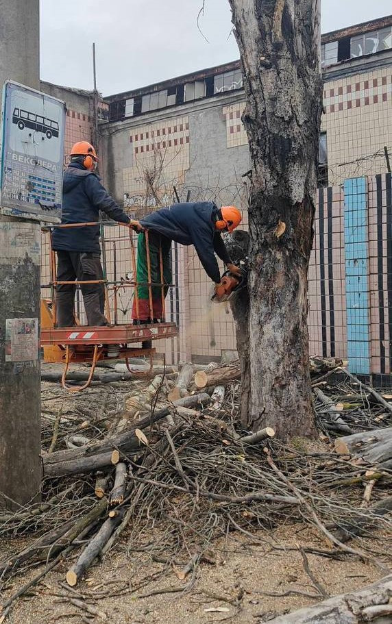 Одеські комунальники з початку року підрізали більше двох сотень дерев