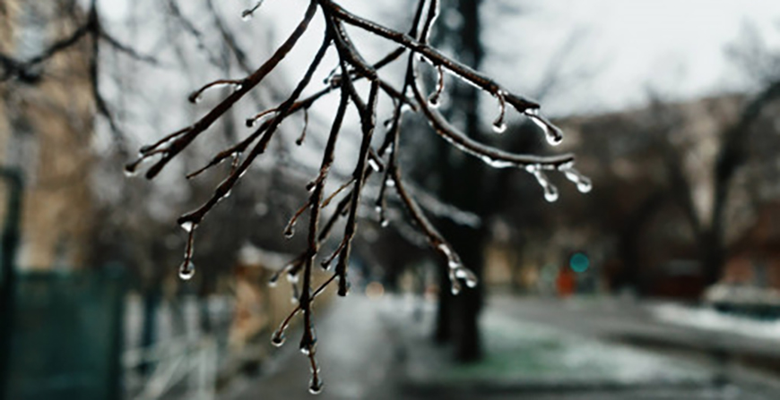 Какой будет погода в Одессе и области 4 февраля