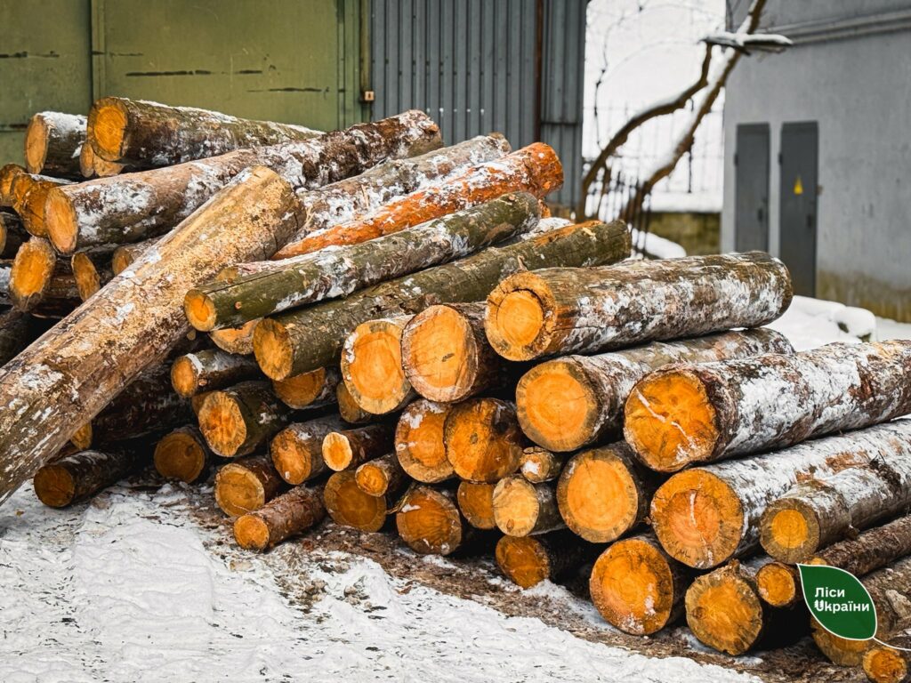 Колекція рідкісних рослин під загрозою: Одеський ботсад підтримав київських колег Колекція рідкісних рослин під загрозою: Одеський ботсад підтримав київських колег