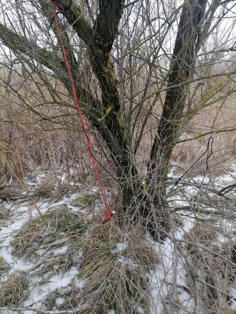 На Одещині затримали чоловіка який полював на диких тварин у заповіднику