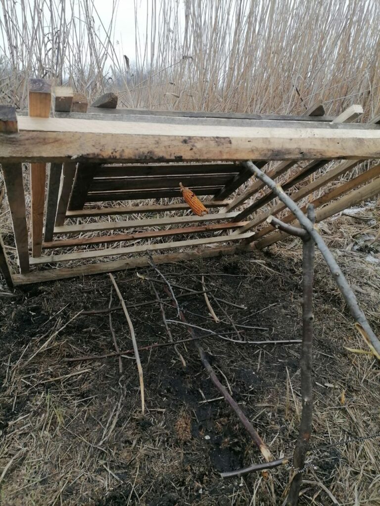 На Одещині затримали чоловіка який полював на диких тварин у заповіднику