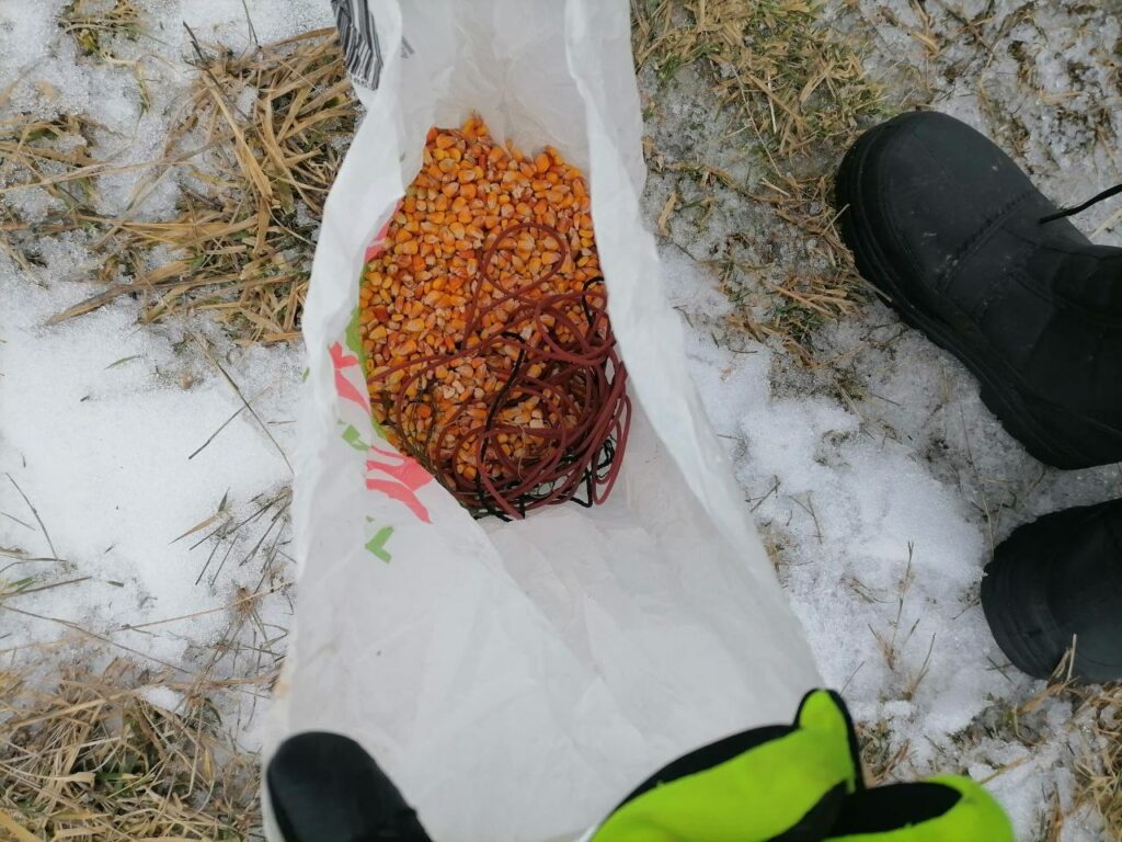 На Одещині затримали чоловіка який полював на диких тварин у заповіднику