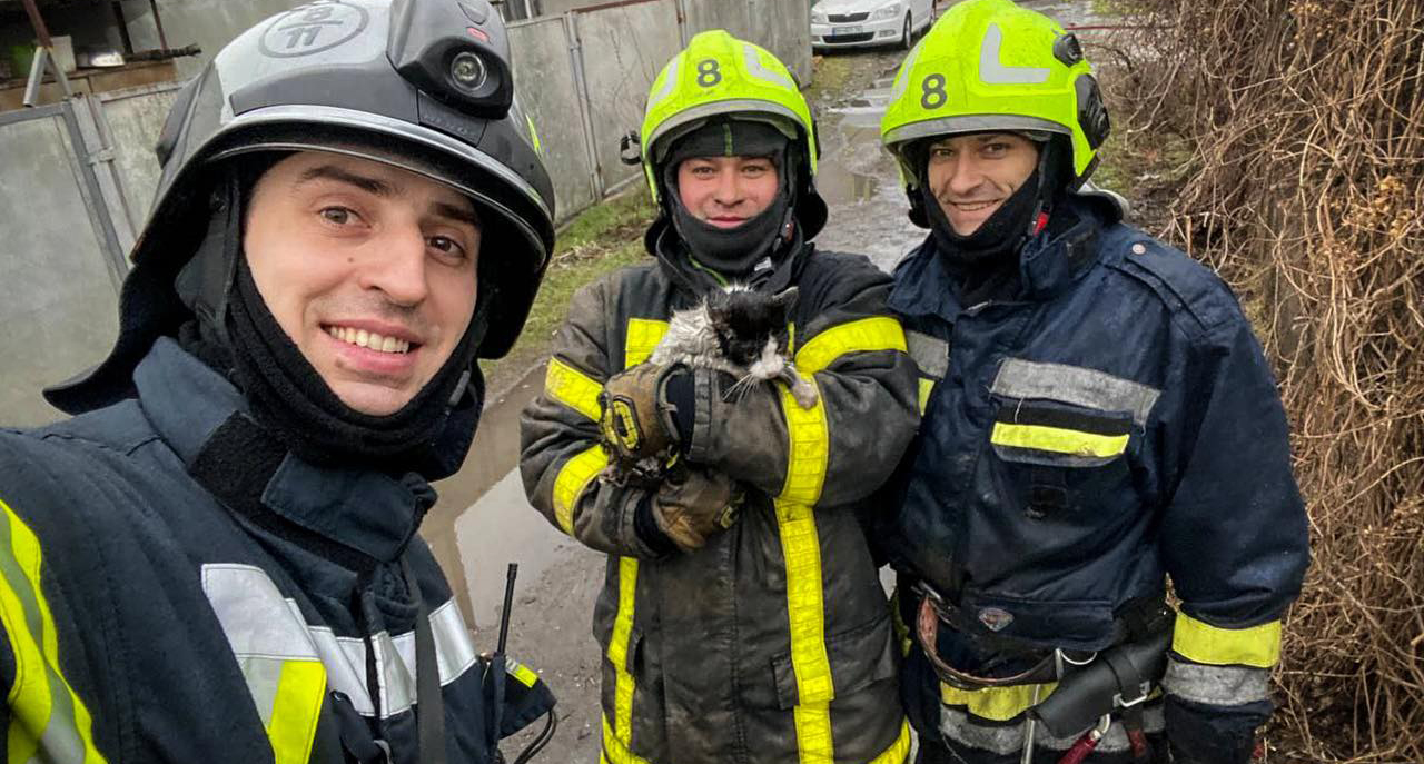 В Одессе во время пожара в заброшенном здании спасли котика