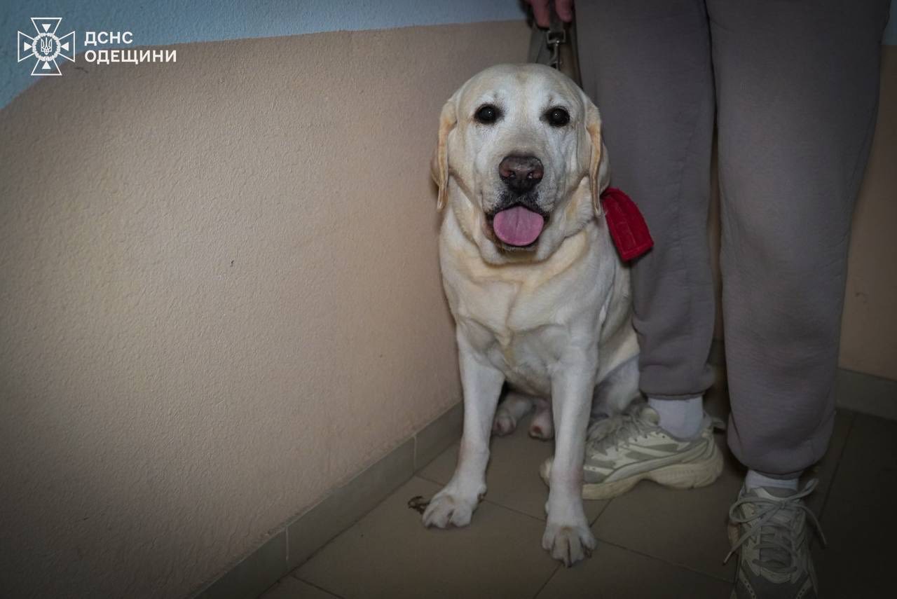 Вночі РФ атакувала Одесу та Одеський район: постраждали люди, є пошкодження цивільної та енергетичної інфраструктури