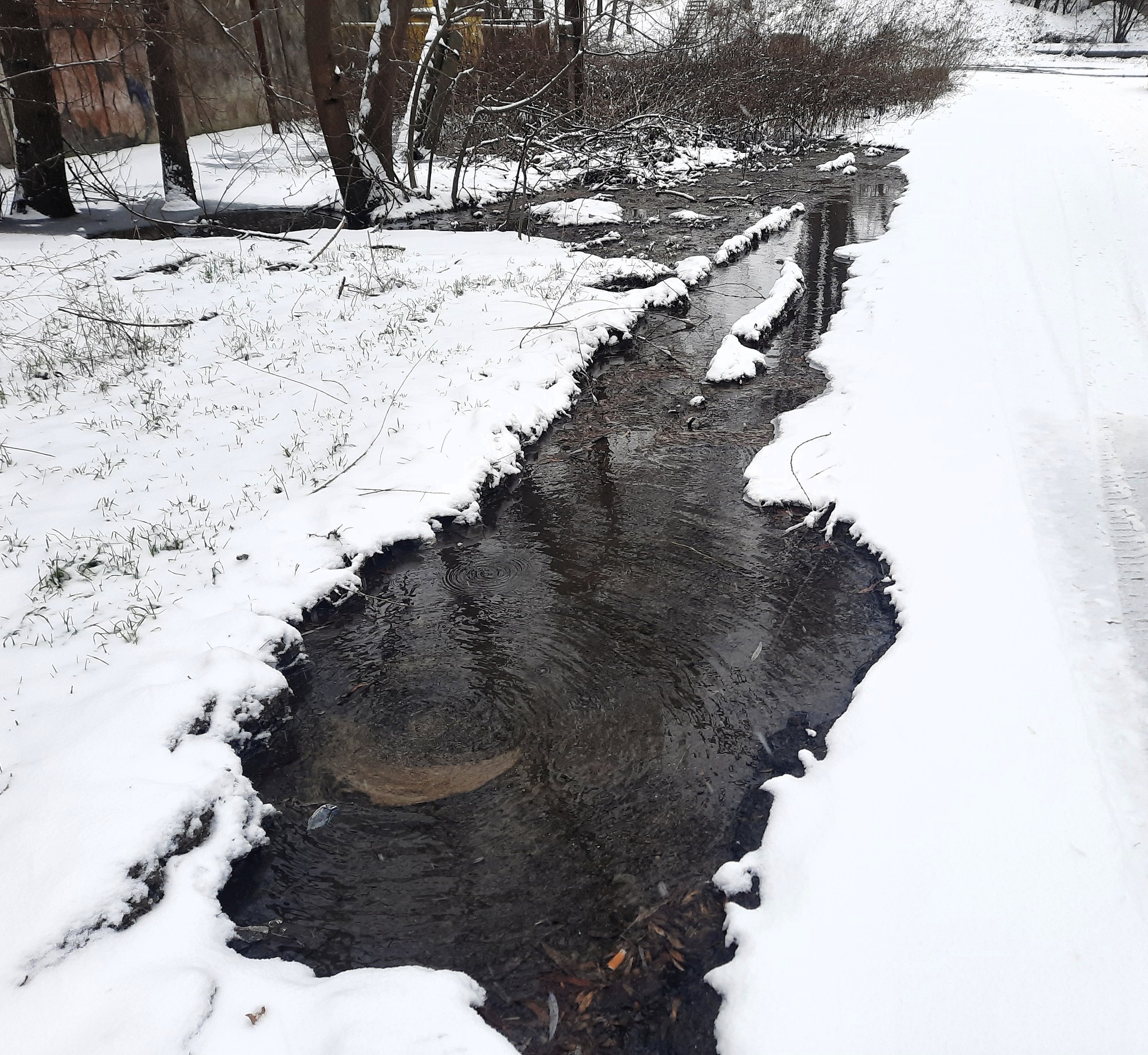 Каналізаційний колапс у приватному секторі: в Одесі зафіксовані численні витоки нечистот