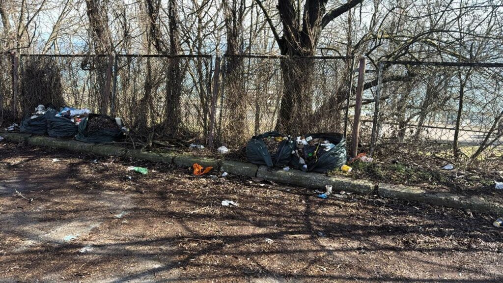 В Одесі та передмісті виявили шість стихійних сміттєзвалищ