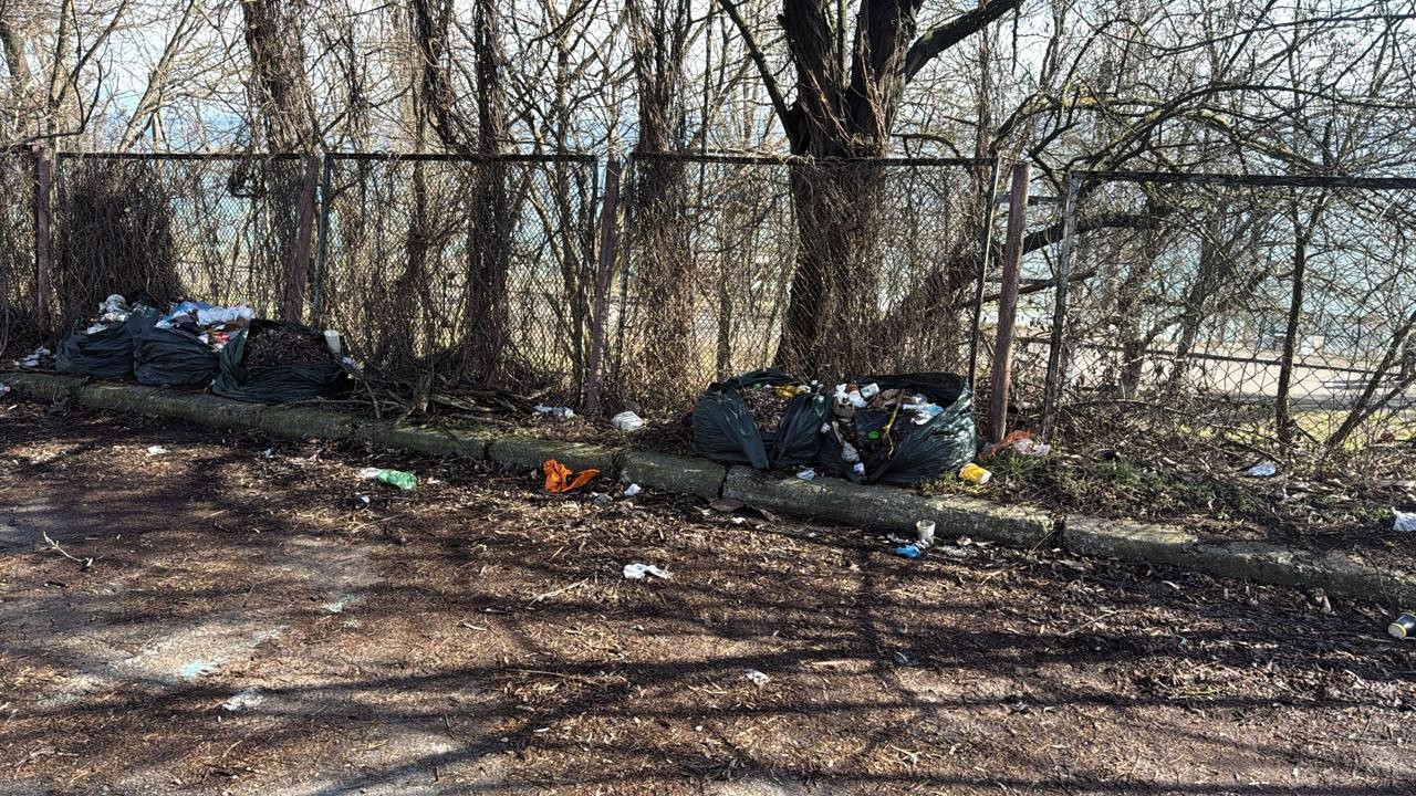 В Одессе и Одесском районе выявили стихийные свалки (фото)
