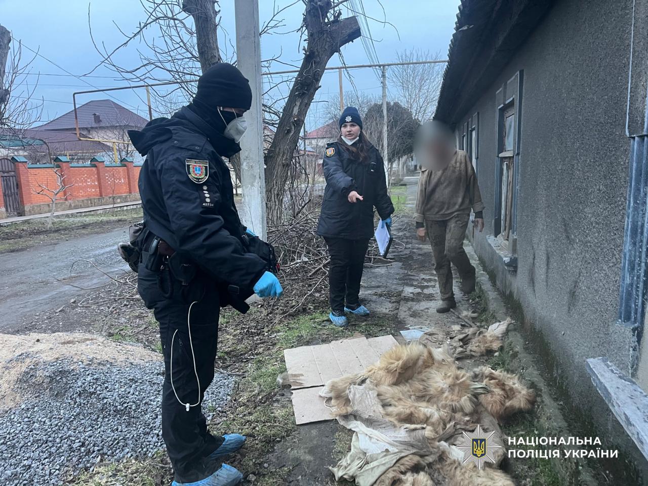 Поліція відкрила кримінальне провадження через неналежне утримання собак, птахів та кота в Ізмаїлі Поліція відкрила кримінальне провадження через неналежне утримання собак, птахів та кота в Ізмаїлі