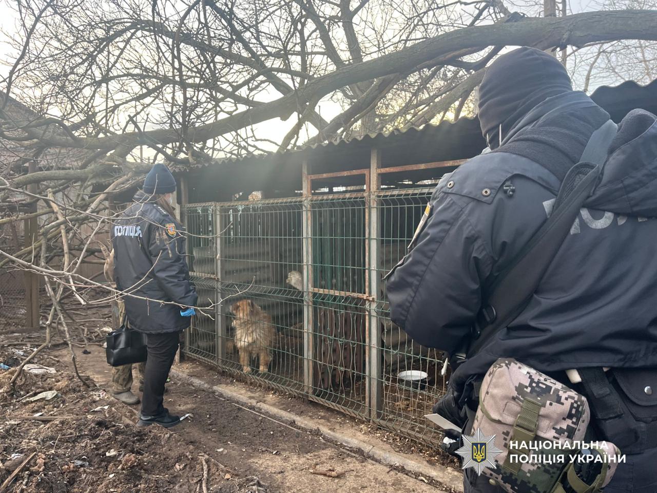 Поліція відкрила кримінальне провадження через неналежне утримання собак, птахів та кота в Ізмаїлі Поліція відкрила кримінальне провадження через неналежне утримання собак, птахів та кота в Ізмаїлі