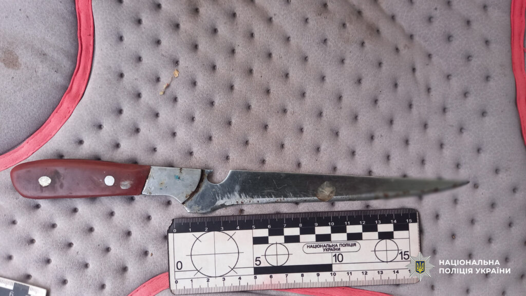 У Татарбунарах судитимуть чоловіка за напад з ножем на знайому