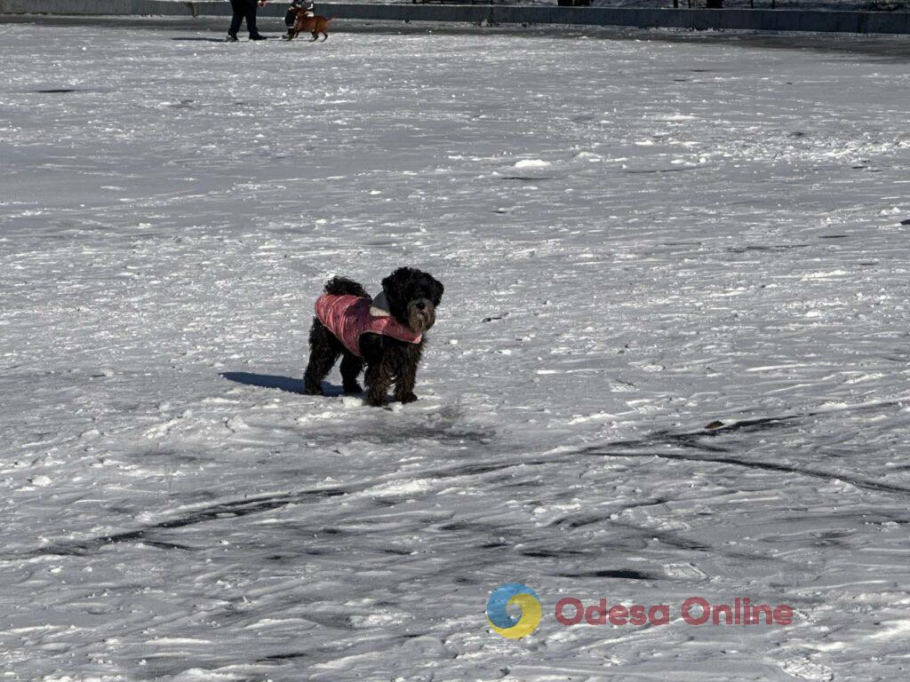 Як зі старої поштівки: фоторепортаж засніженої Одеси