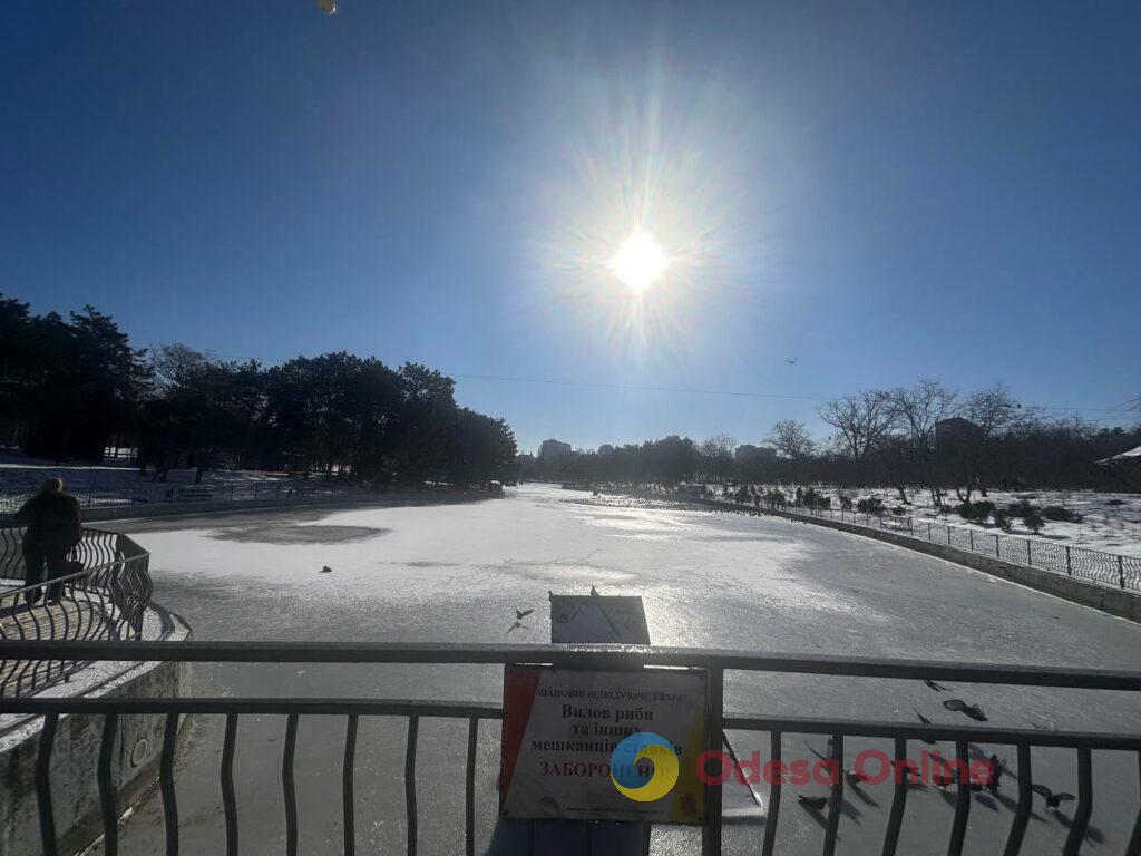 Як зі старої поштівки: фоторепортаж засніженої Одеси