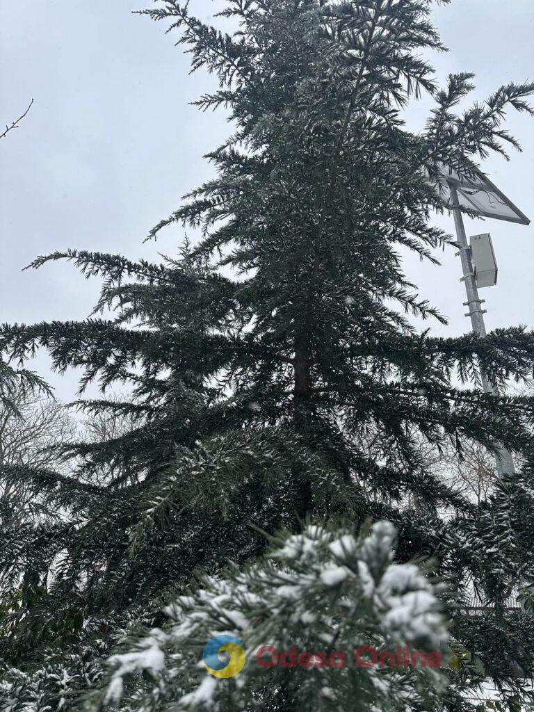 Як зі старої поштівки: фоторепортаж засніженої Одеси