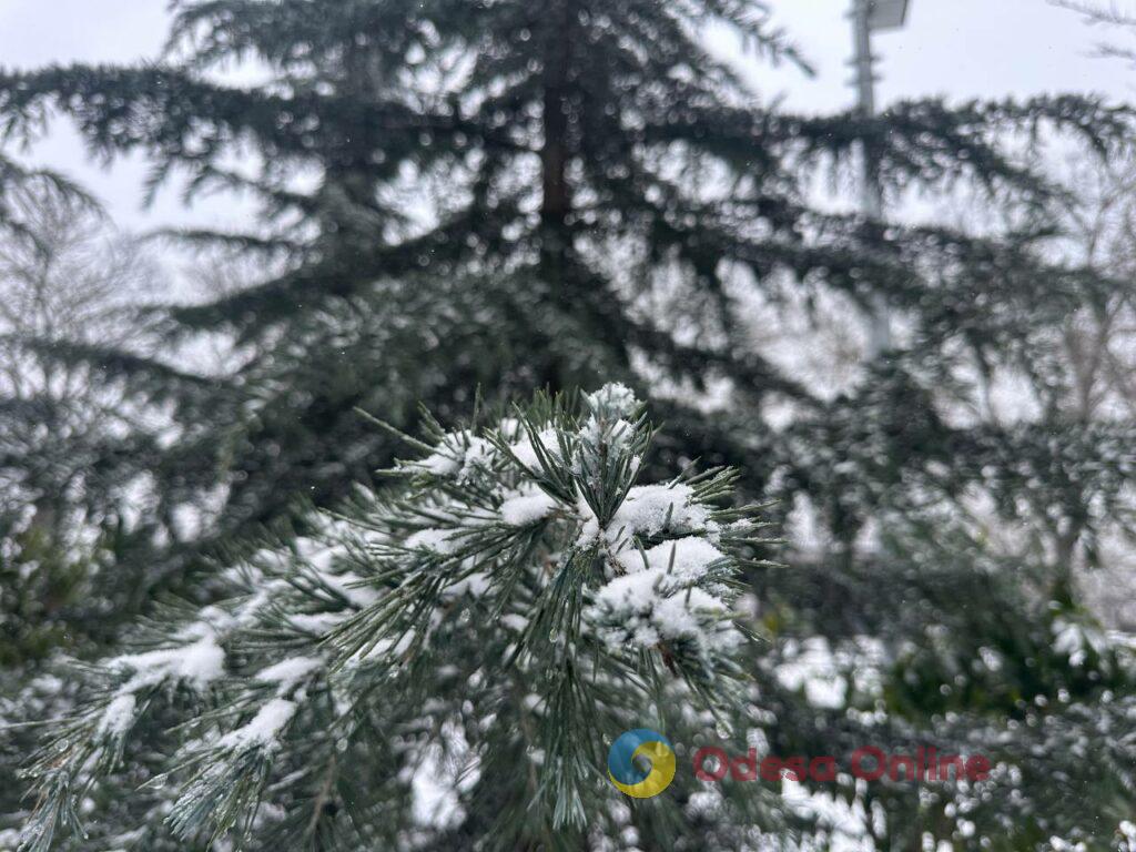 Як зі старої поштівки: фоторепортаж засніженої Одеси