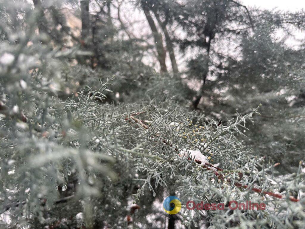 Як зі старої поштівки: фоторепортаж засніженої Одеси