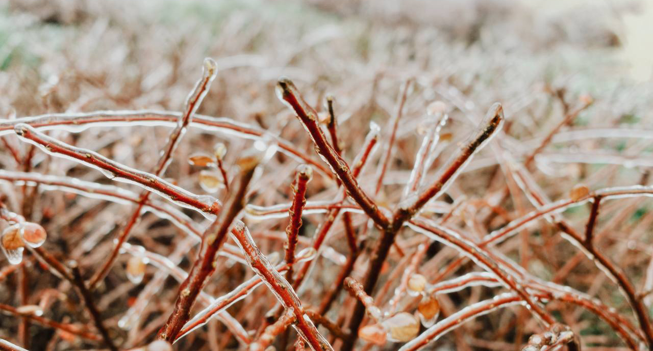 В Одесі випав льодяний дощ В Одесі випав льодяний дощ