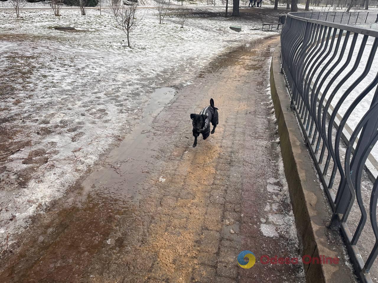 Фото тижня: ожеледиця в Одесі, наслідки ворожої атаки та перекриття дороги