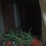 photo_2026-02-15_05-55-11 (2)