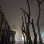 photo_2026-02-15_11-20-00 (3)