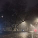 photo_2026-02-15_11-20-01 (2)