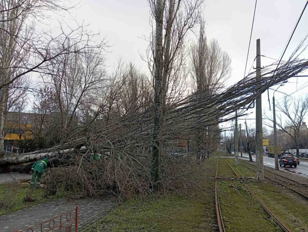 В Одесі ліквідовують наслідки нічної негоди