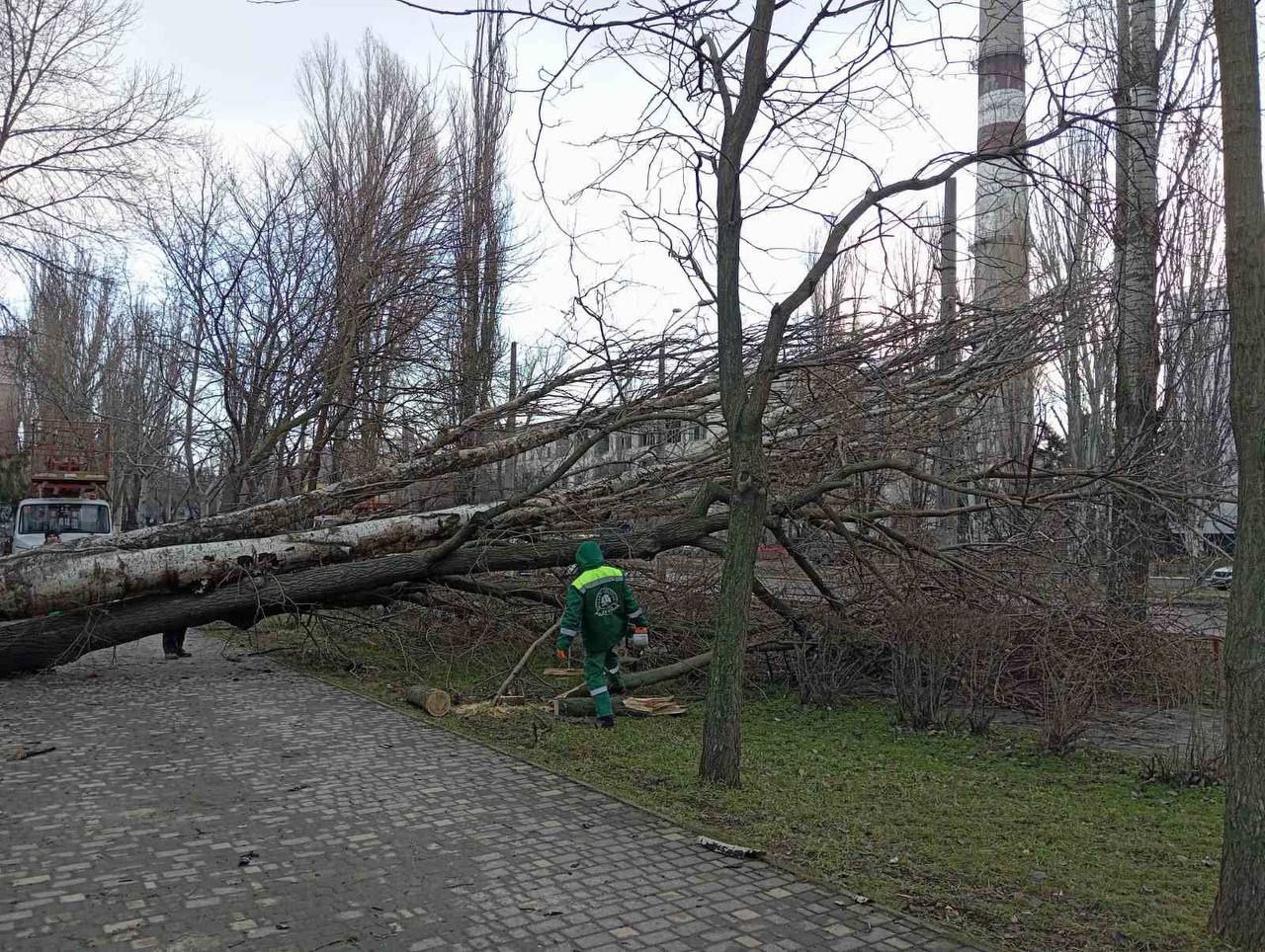 В Одесі ліквідовують наслідки нічної негоди