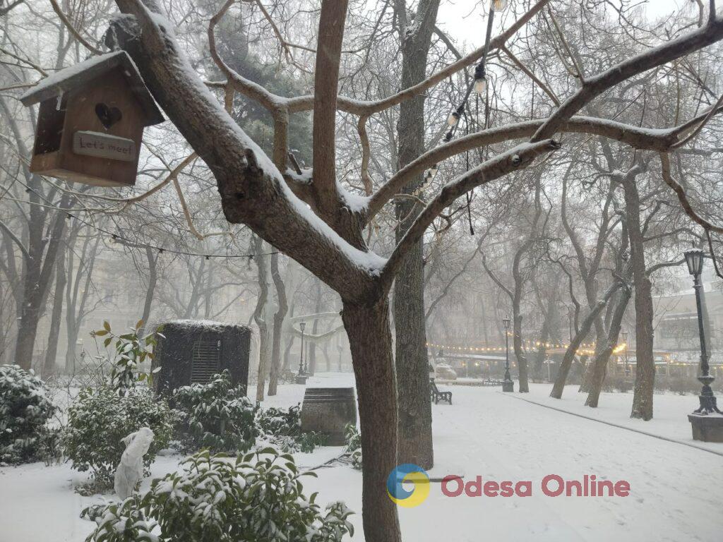 Одеса: снігопад змінив місто та його ритм (фоторепортаж)