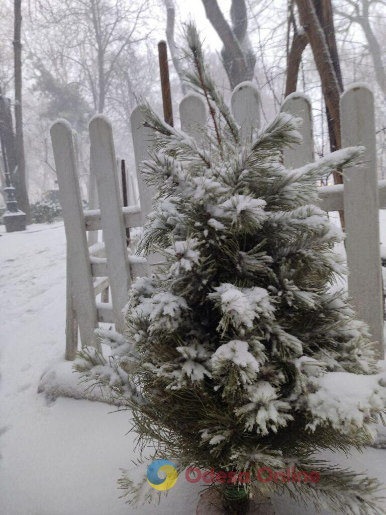 Одеса: снігопад змінив місто та його ритм (фоторепортаж)