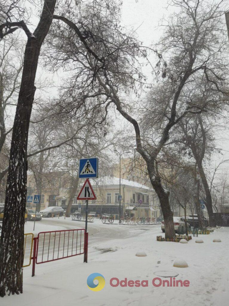 Одеса: снігопад змінив місто та його ритм (фоторепортаж)